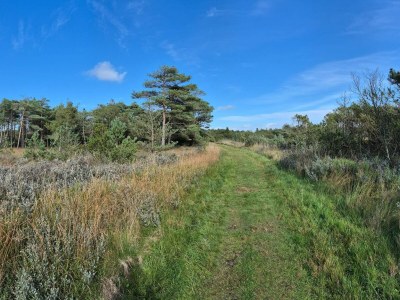 Apartment 4 person holiday home in Rømø-By Traum - Outdoor photo 30