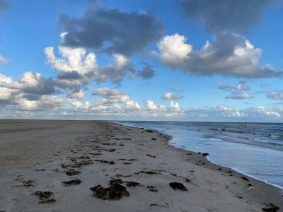 Apartment 4 person holiday home in Rømø-By Traum - Outdoor photo 32