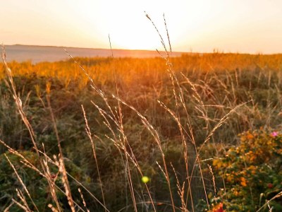 Apartment 4 person holiday home in Rømø-By Traum - Outdoor photo 35