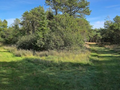 Apartment 4 person holiday home in Rømø-By Traum - Outdoor photo 41