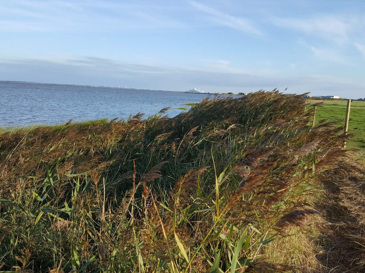 Holiday house Panoramablick Golf Ruckzug -- By Traum Ferienwohnungen - Outdoor photo 3