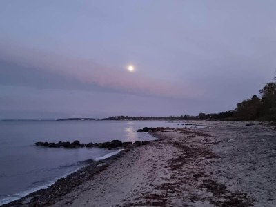 Holiday house 6 Personen Ferienhaus in Dronningmølle-By Traum - Outdoor photo 35