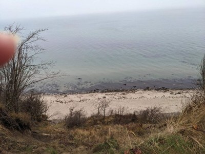 Holiday house 6 Personen Ferienhaus in Dronningmølle-By Traum - Outdoor photo 36