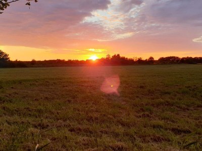 Holiday house 10 person holiday home in Væggerløse - Outdoor photo 12