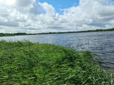 Holiday house 6 Personen Ferienhaus in Ansager-By Traum - Outdoor photo 3