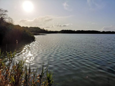 Holiday house 6 Personen Ferienhaus in Ansager-By Traum - Outdoor photo 28