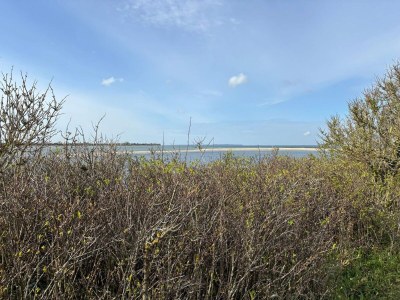 Holiday house 6 person holiday home in Bogense-By Traum - Outdoor photo 25