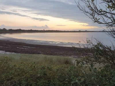 Holiday house 6 person holiday home in Bogense-By Traum - Outdoor photo 26