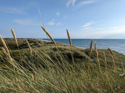 Holiday house Charmantes Strandhaus -- By Traum Ferienwohnungen - Outdoor photo 24