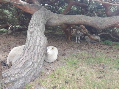 Holiday house Luxurioses Refugium mit Pool -- By Traum Ferienwohnungen - Outdoor photo 21