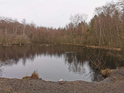 Holiday house Lakefront Retreat - By Traum Ferienwohnungen - Outdoor photo 28