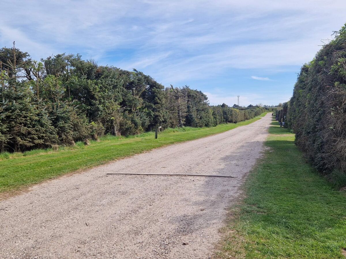 Holiday house 8 person holiday home in Løkken-By Traum - Outdoor photo 4