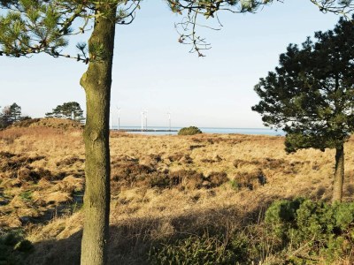 Holiday house 6 person holiday home in Glesborg-By Traum - Outdoor photo 37