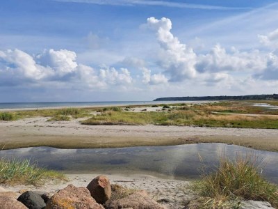 Holiday house 6 person holiday home in Glesborg-By Traum - Outdoor photo 41