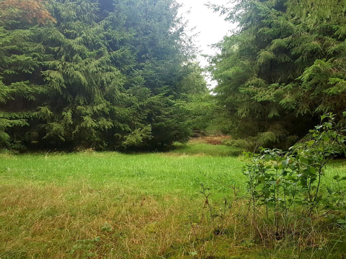 Holiday house 6 person holiday home in Toftlund-By Traum - Outdoor photo 4