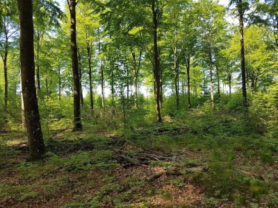 Holiday house 6 person holiday home in Toftlund-By Traum - Outdoor photo 7