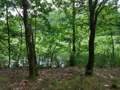 Holiday house 6 person holiday home in Toftlund-By Traum - Outdoor photo 9