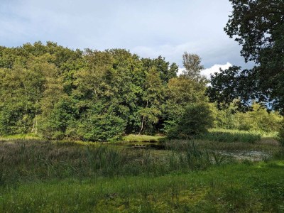 Holiday house 6 person holiday home in Toftlund-By Traum - Outdoor photo 17