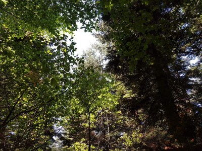 Holiday house 6 person holiday home in Toftlund-By Traum - Outdoor photo 25