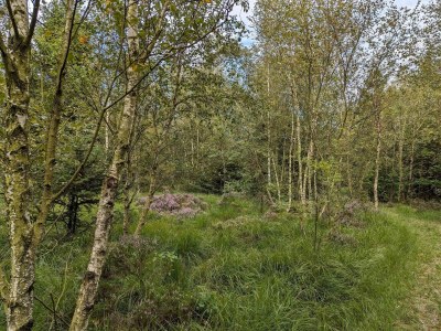 Holiday house 6 person holiday home in Toftlund-By Traum - Outdoor photo 38