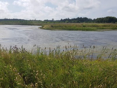 Holiday house 6 Personen Ferienhaus in Løkken-By Traum - Outdoor photo 27