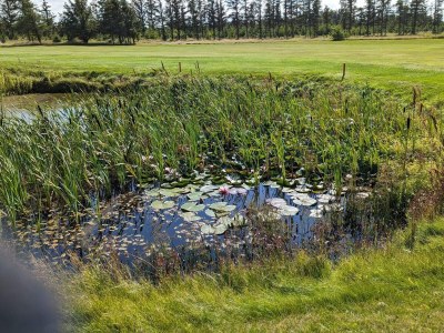 Holiday house 6 Personen Ferienhaus in Løkken-By Traum - Outdoor photo 32