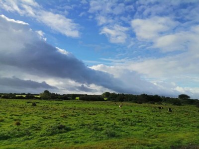 Holiday house 6 person holiday home in Nordborg-By Traum - Outdoor photo 42