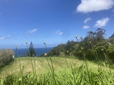 Holiday house Tranquilidade - Outdoor photo 7