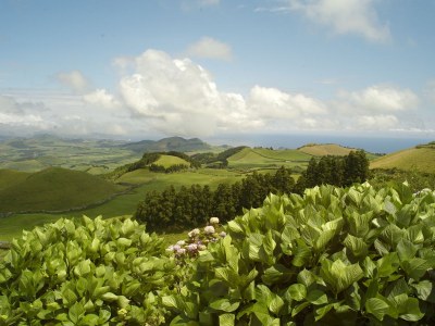 Holiday house Tranquilidade - Environment photo 32