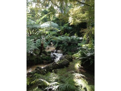 Holiday house Tranquilidade - Environment photo 33