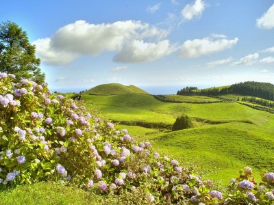 Holiday house Tranquilidade - Environment photo 34