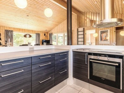 Holiday house Luxus-Ruckzug in Klitmoller -- By Traum Ferienwohnungen - Outdoor photo 36