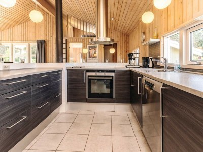 Holiday house Luxus-Ruckzug in Klitmoller -- By Traum Ferienwohnungen - Outdoor photo 48