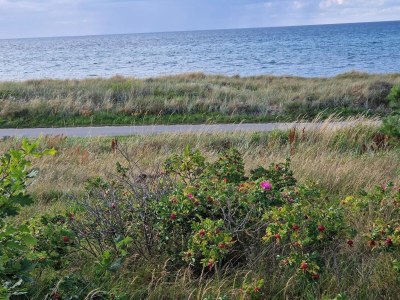 Holiday house Luxus-Ruckzug mit Pool -- By Traum Ferienwohnungen - Outdoor photo 37
