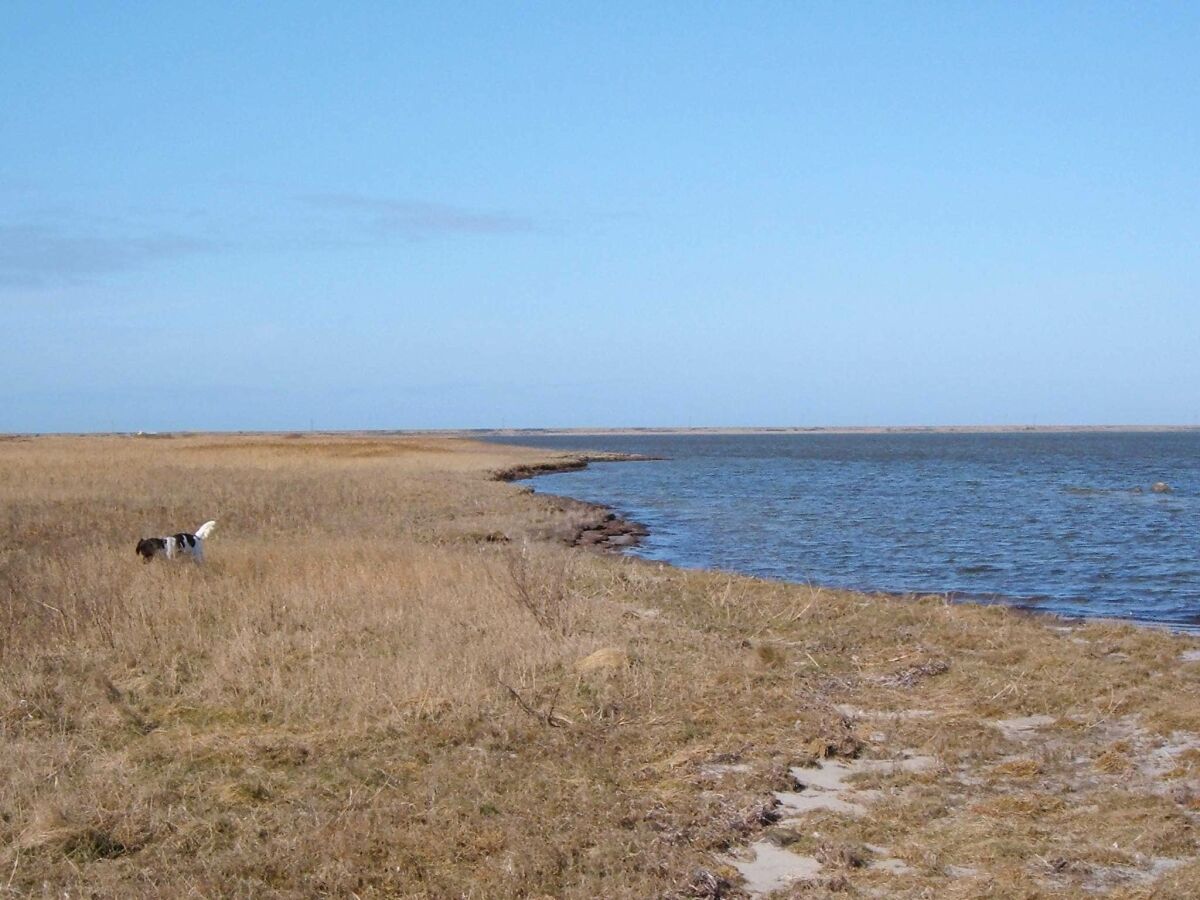 Holiday house 6 person holiday home in Harboøre-By Traum - Outdoor photo 4