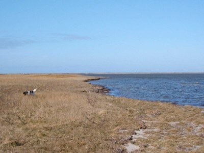 Holiday house 6 person holiday home in Harboøre-By Traum - Outdoor photo 4