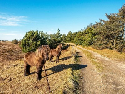 Holiday house 6 person holiday home in Harboøre-By Traum - Outdoor photo 19