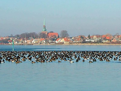 Holiday house 8 Personen Ferienhaus in Nysted-By Traum - Outdoor photo 19