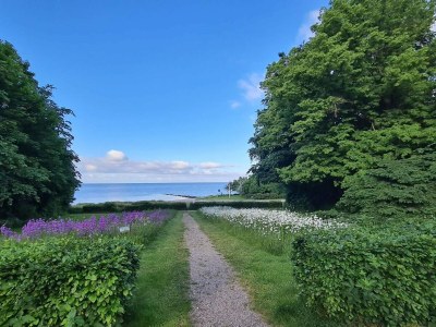 Holiday house 8 Personen Ferienhaus in Nysted-By Traum - Outdoor photo 21