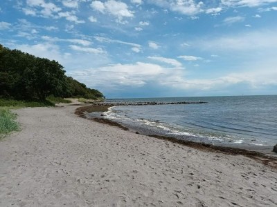 Holiday house 8 Personen Ferienhaus in Nysted-By Traum - Outdoor photo 33