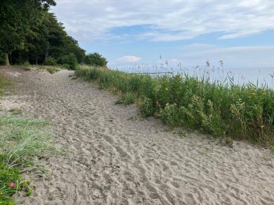 Holiday house 8 Personen Ferienhaus in Nysted-By Traum - Outdoor photo 38