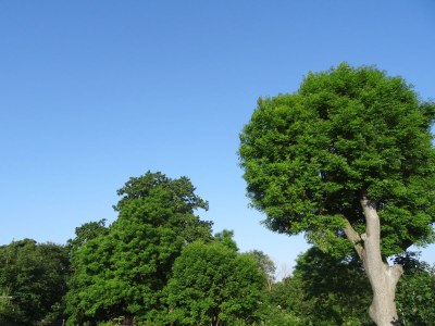 Holiday farmhouse Zur Alten Schmiede in Sorgenlos - Environment photo 18