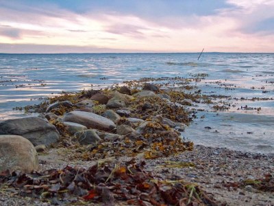 Holiday house Luxus-Pool-Ruckzug am Meer -- By Traum Ferienwohnungen - Outdoor photo 30
