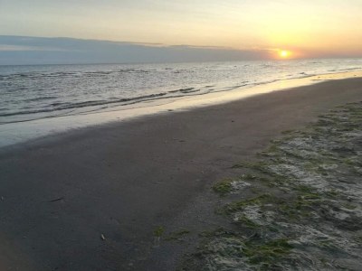 Holiday house Ruhige Oase am Strand -- By Traum Ferienwohnungen - Outdoor photo 14