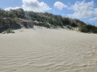 Holiday house Ruhige Oase am Strand -- By Traum Ferienwohnungen - Outdoor photo 15