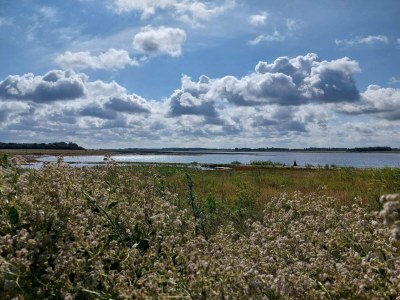 Holiday house 12 Personen Ferienhaus in Harboøre-By Traum - Outdoor photo 15