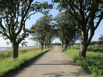 Holiday house 12 Personen Ferienhaus in Harboøre-By Traum - Outdoor photo 21