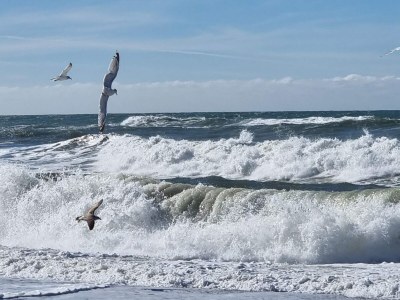 Holiday house 12 Personen Ferienhaus in Harboøre-By Traum - Outdoor photo 39