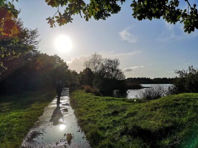 Holiday house 6 person holiday home in Ansager-By Traum - Outdoor photo 2