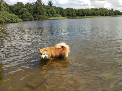 Holiday house 6 person holiday home in Ansager-By Traum - Outdoor photo 31